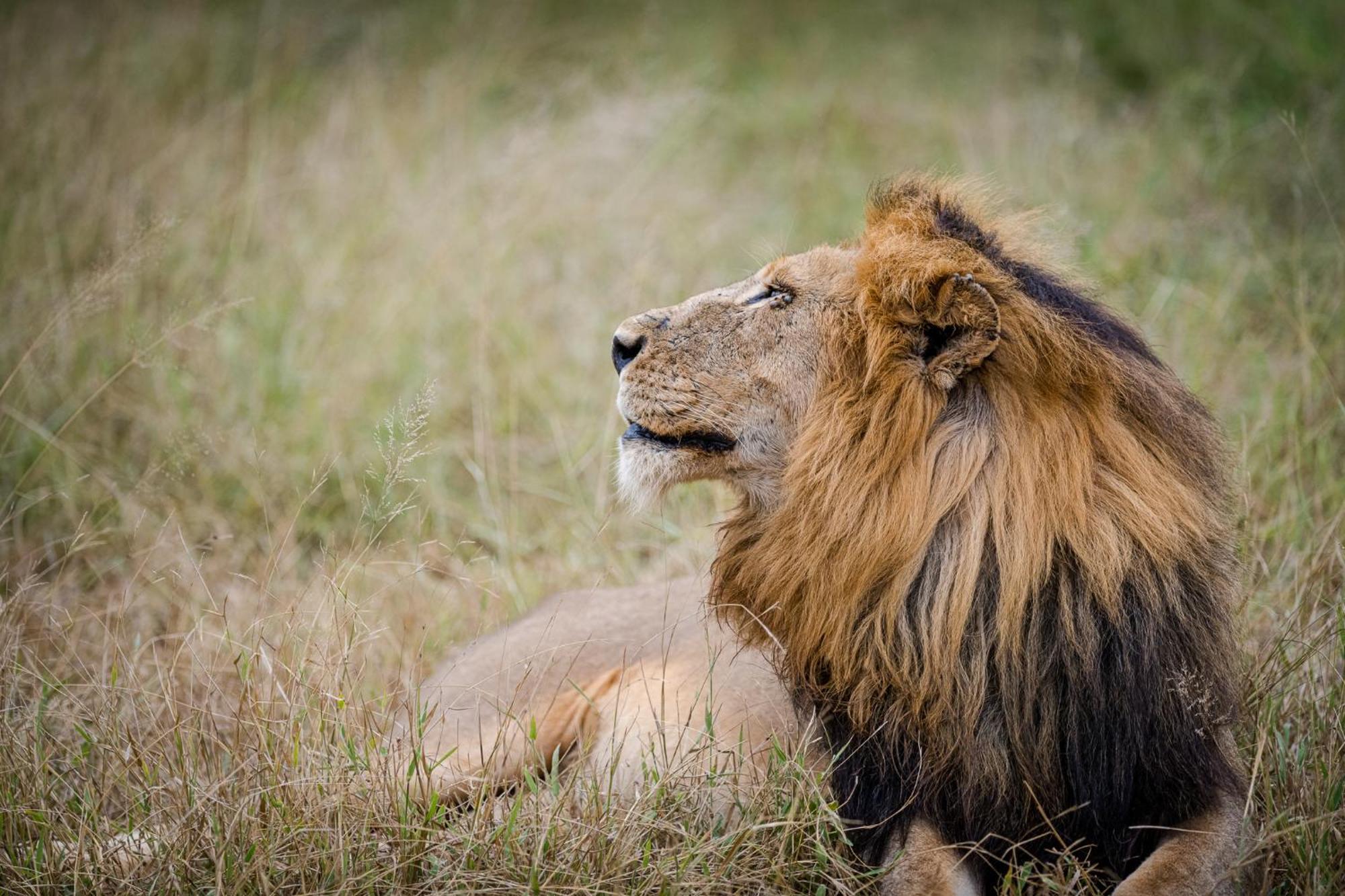 Serondella Safari Lodge ธอร์นีบุชเกมรีเซิร์ฟ ภายนอก รูปภาพ