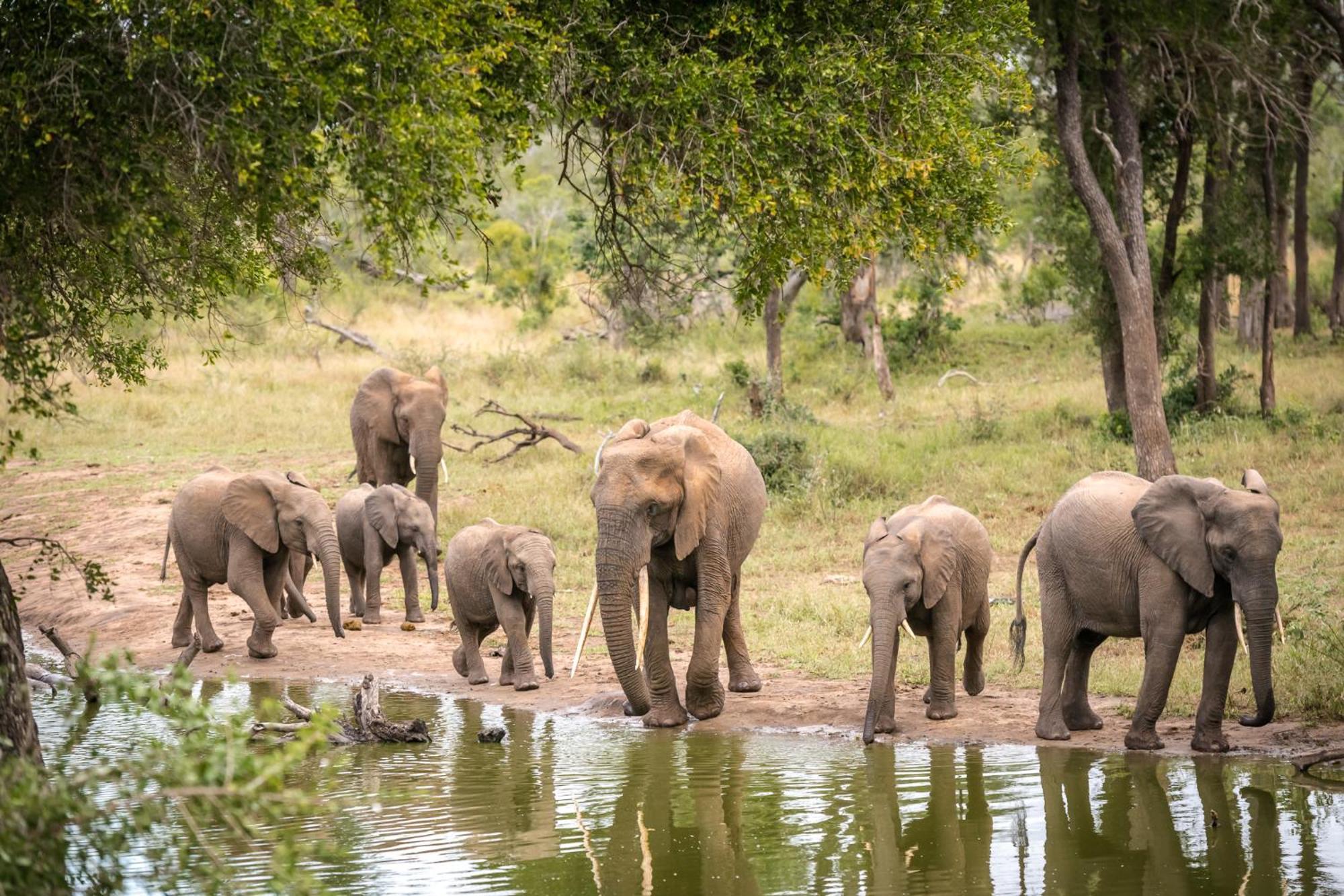 Serondella Safari Lodge ธอร์นีบุชเกมรีเซิร์ฟ ภายนอก รูปภาพ